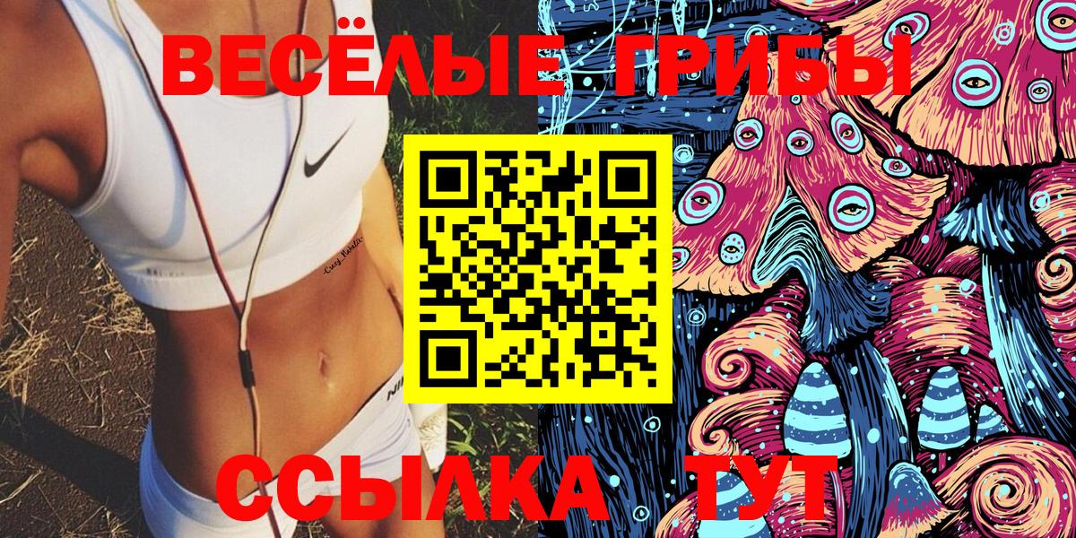 Арзамас  что такое наркотик  Вход с VPN  Псилоцибиновые грибы GOLDEN TEACHER  Галлюциногенные грибы Psilocybe 